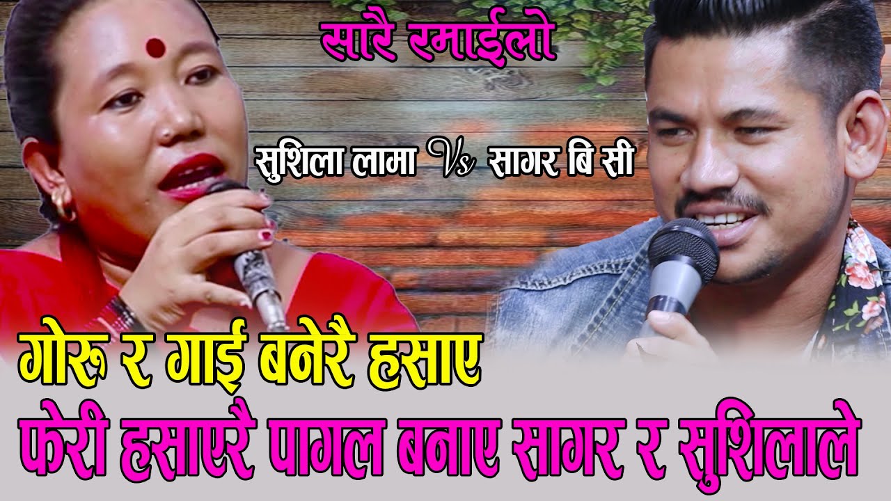 सुशिला र सागरले मारे, गोरु र गाई बन्दै, Sushila Lama Vs Sagar Bc Live Dohori