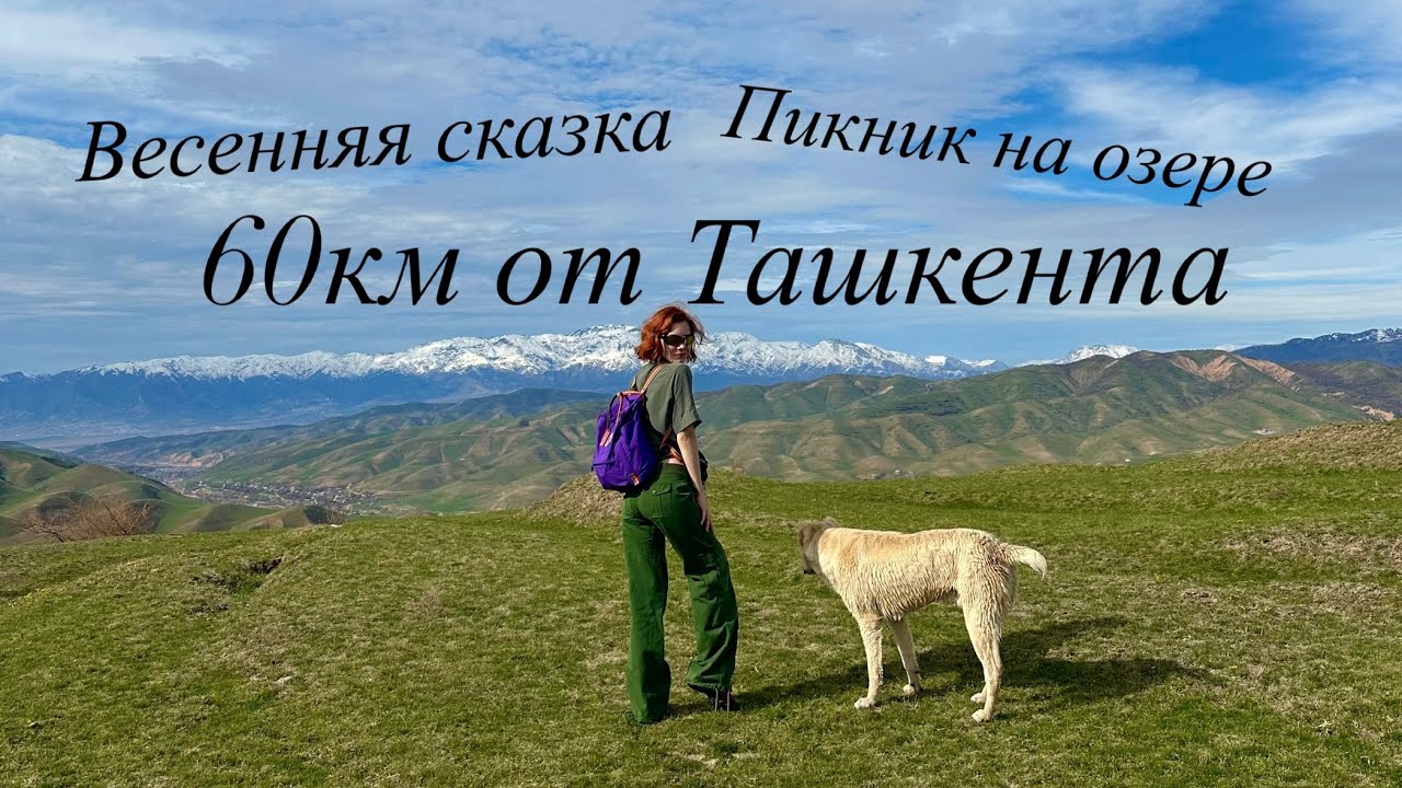 Пикник в 60км от Ташкента// весенняя сказка #ташкент #узбекистан идеальное место для отдыха