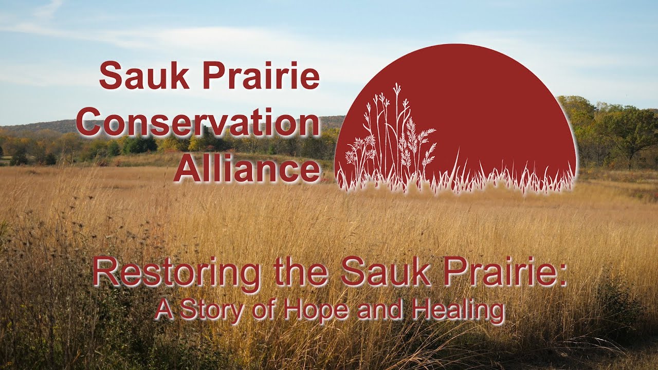 Restoring the Sauk Prairie: A Story of Hope and Healing