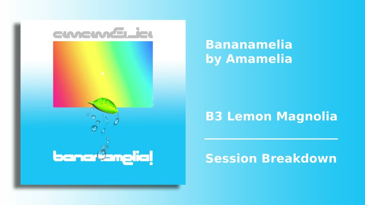 Amamelia B3 Lemon Magnolia – Session Breakdown
