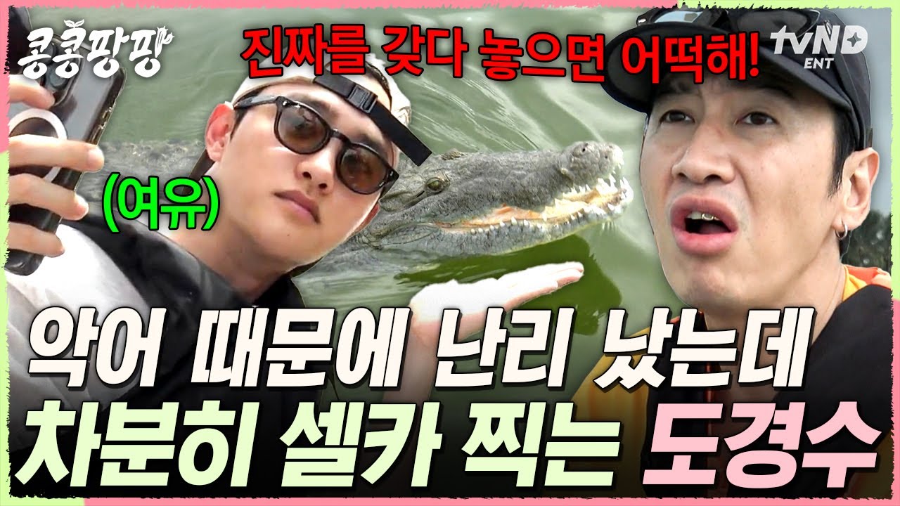 [#콩콩팡팡] 이광수 목소리 데시벨 주의⚠️ 악어 앞에서 기겁하는 불안형 이광수와 셀카 찍는 안정형 도경수ㅋㅋㅋ