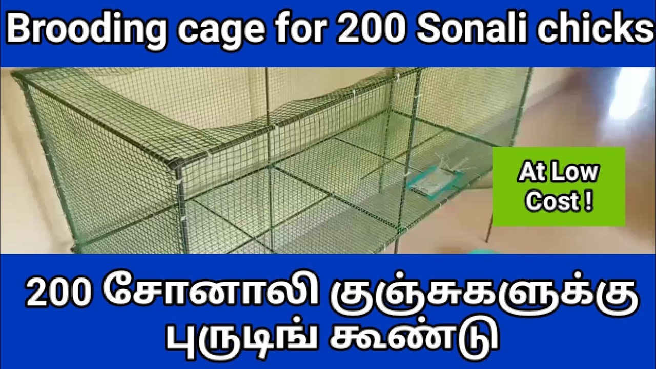 Part -1 #cagemaking #sonali #சோனாலி #poultryfarming #brooding #நாட்டுக்கோழிவளர்ப்பு