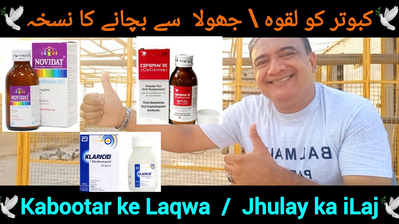 Treatment for pigeon paralysis | Pigeon Medicine | How to cure pigeons