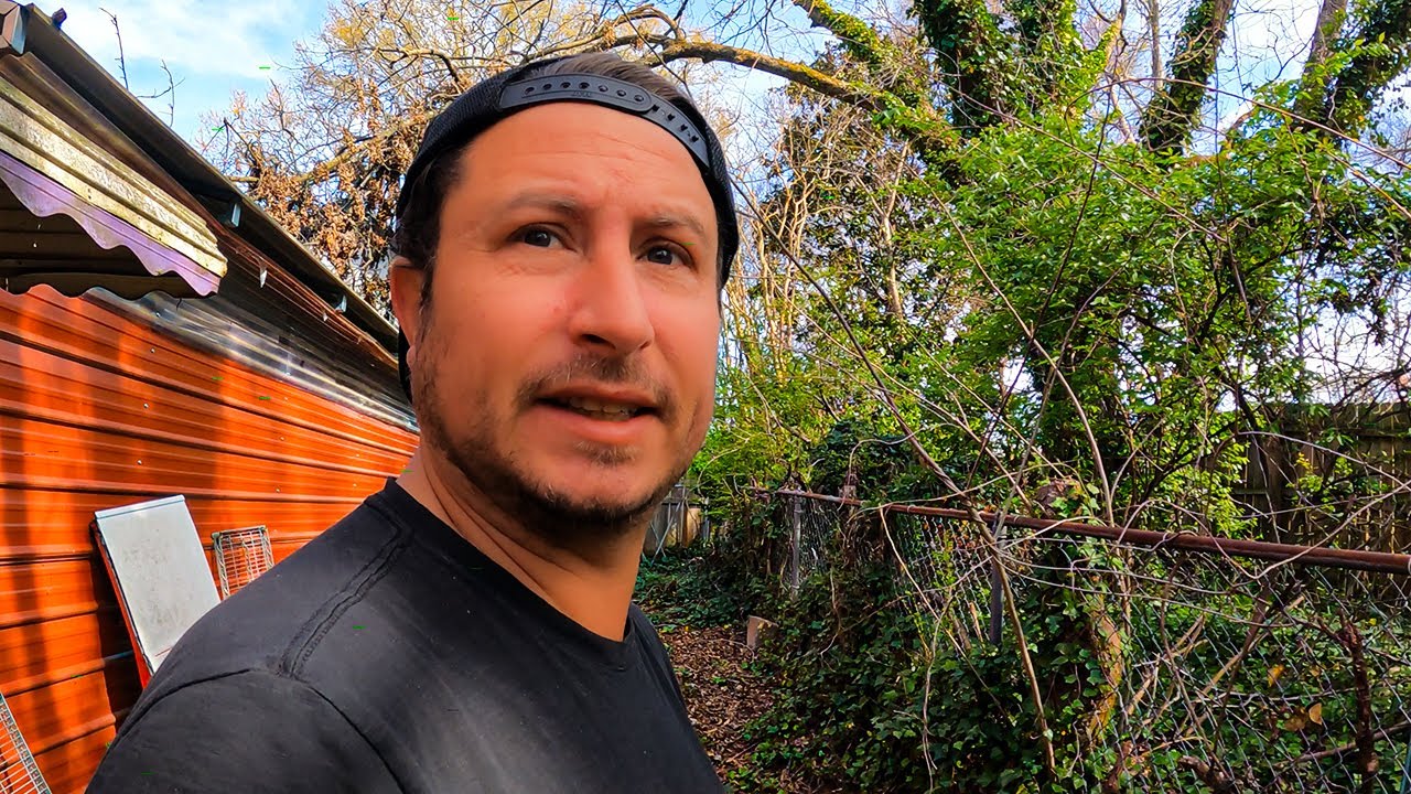 I Abandoned  My House for Months: Here’s What Happened!