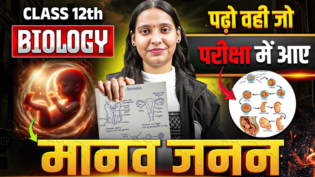 मानव जनन | Human Reproduction Full Chapter | Class 12 Biology | By Nidhi Ma'am