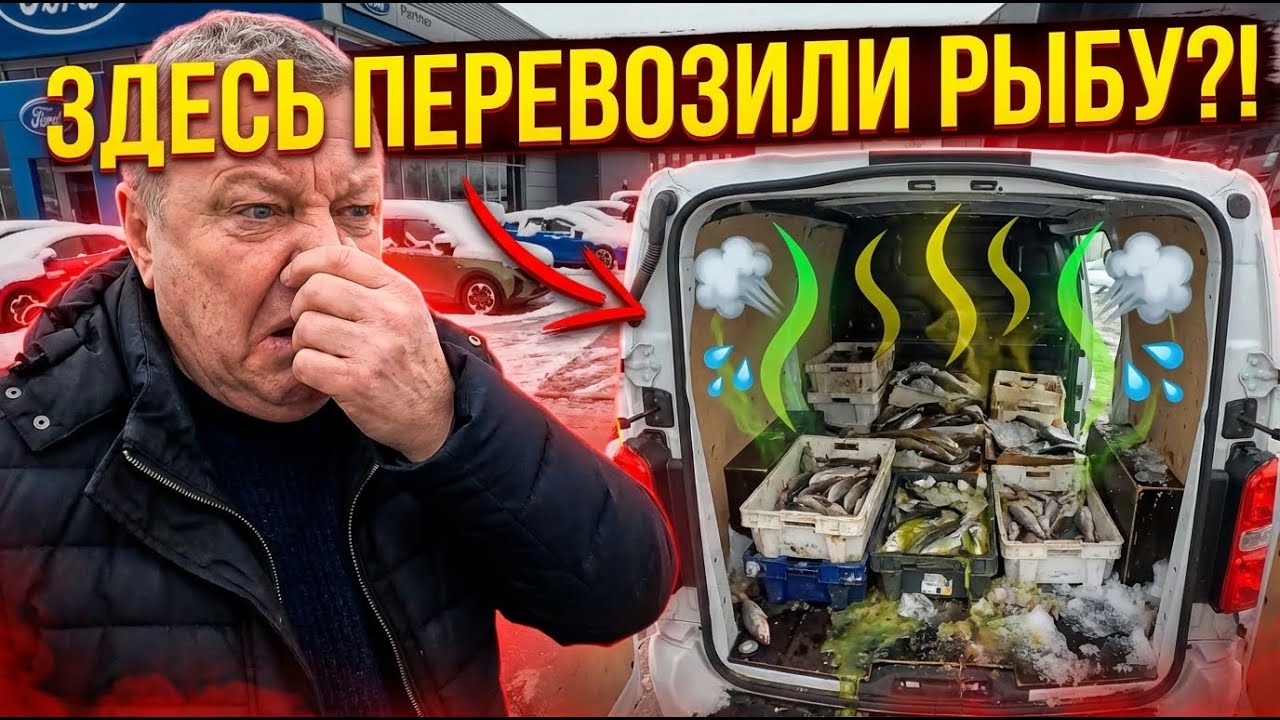 Этот бусик ВОНЯЛ рыбой невыносимо | Работаю AGENTOM 🚘