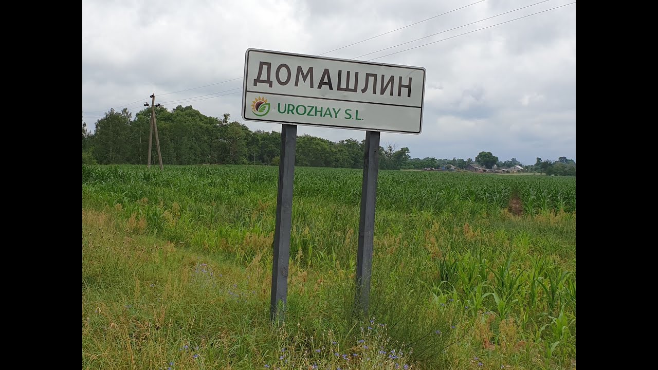 Село Домашлин Чернігівської області із висоти пташиного польоту