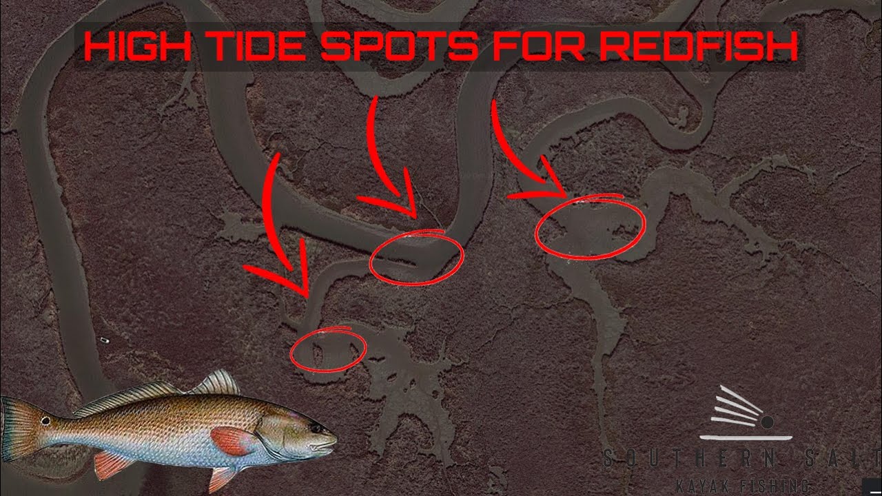 Inshore Fishing Spots for Redfish - How to Catch Redfish (Red Drum) During High Tide
