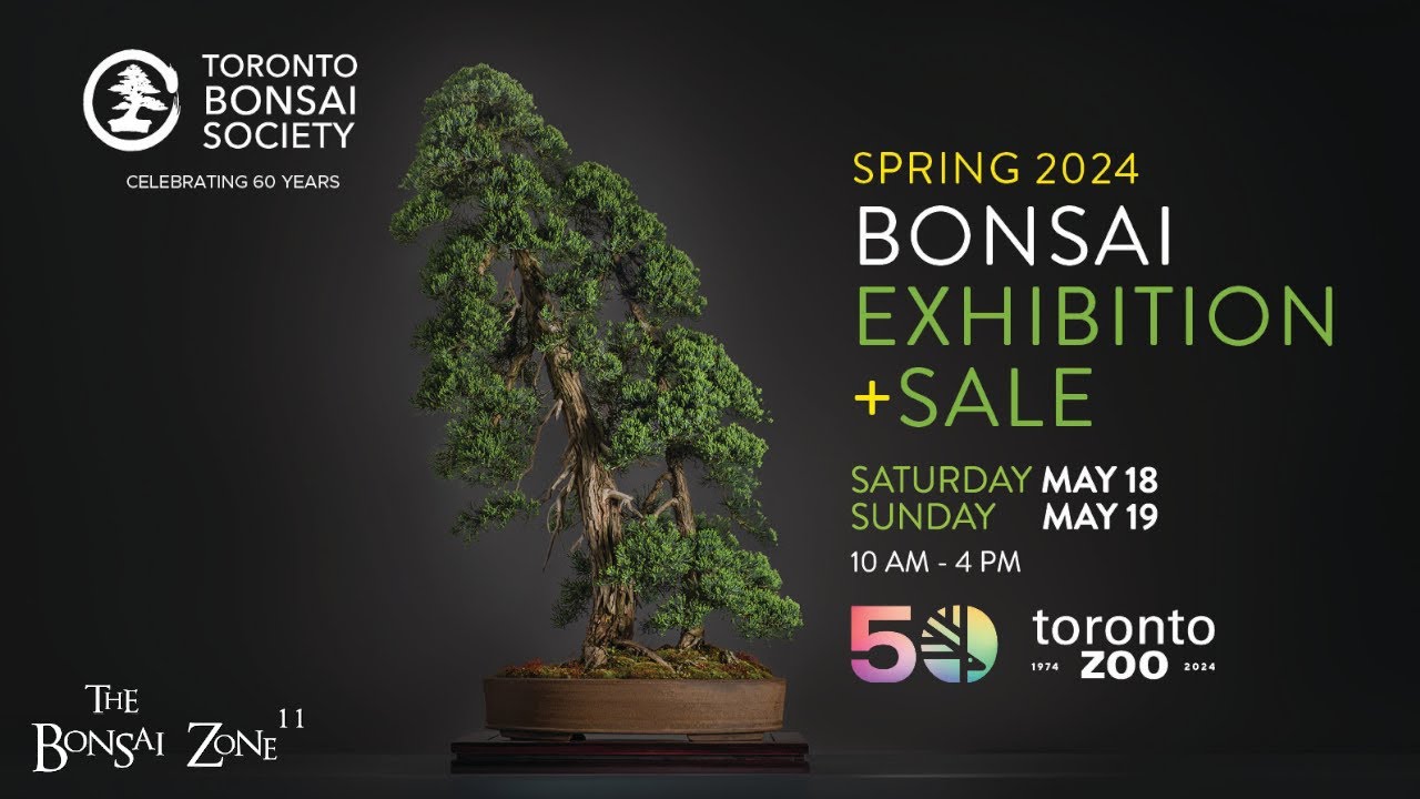 The Toronto Bonsai Society's Spring Show and Sale, The Bonsai Zone, May 2024