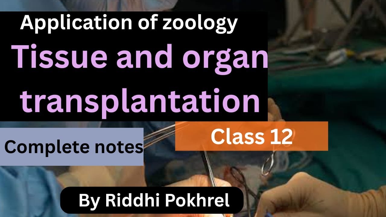 Tissue and Organ Transplantation | Class 12 Biology | NEB Board | Easy Explanation