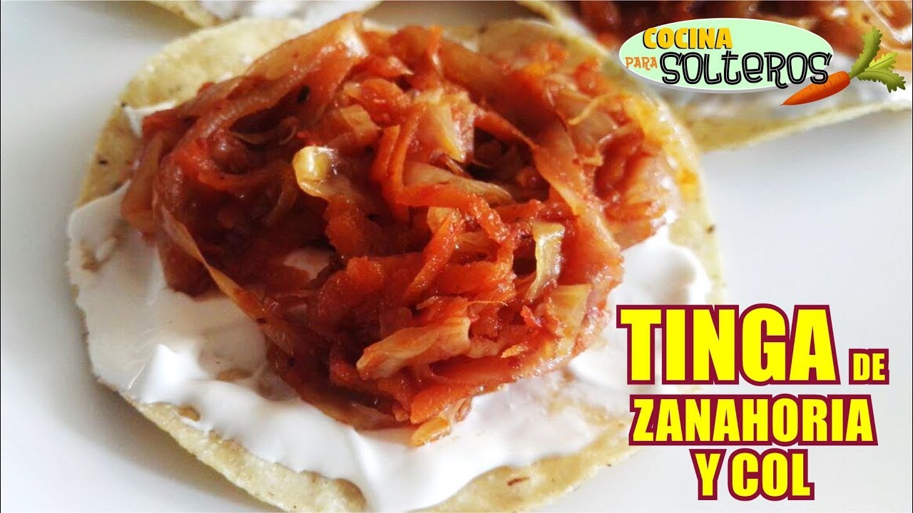 TINGA DE ZANAHORA Y COL
