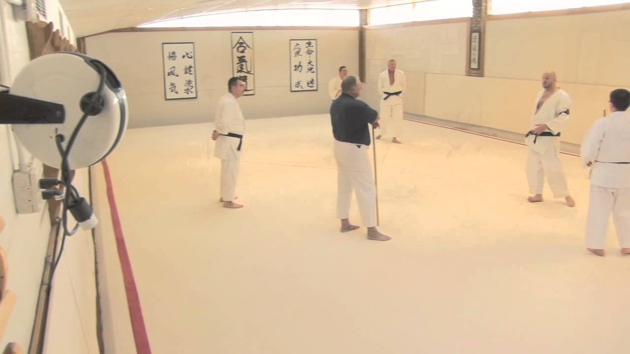 Aikido  with  Sean Ashby  Winter 2013  part 2