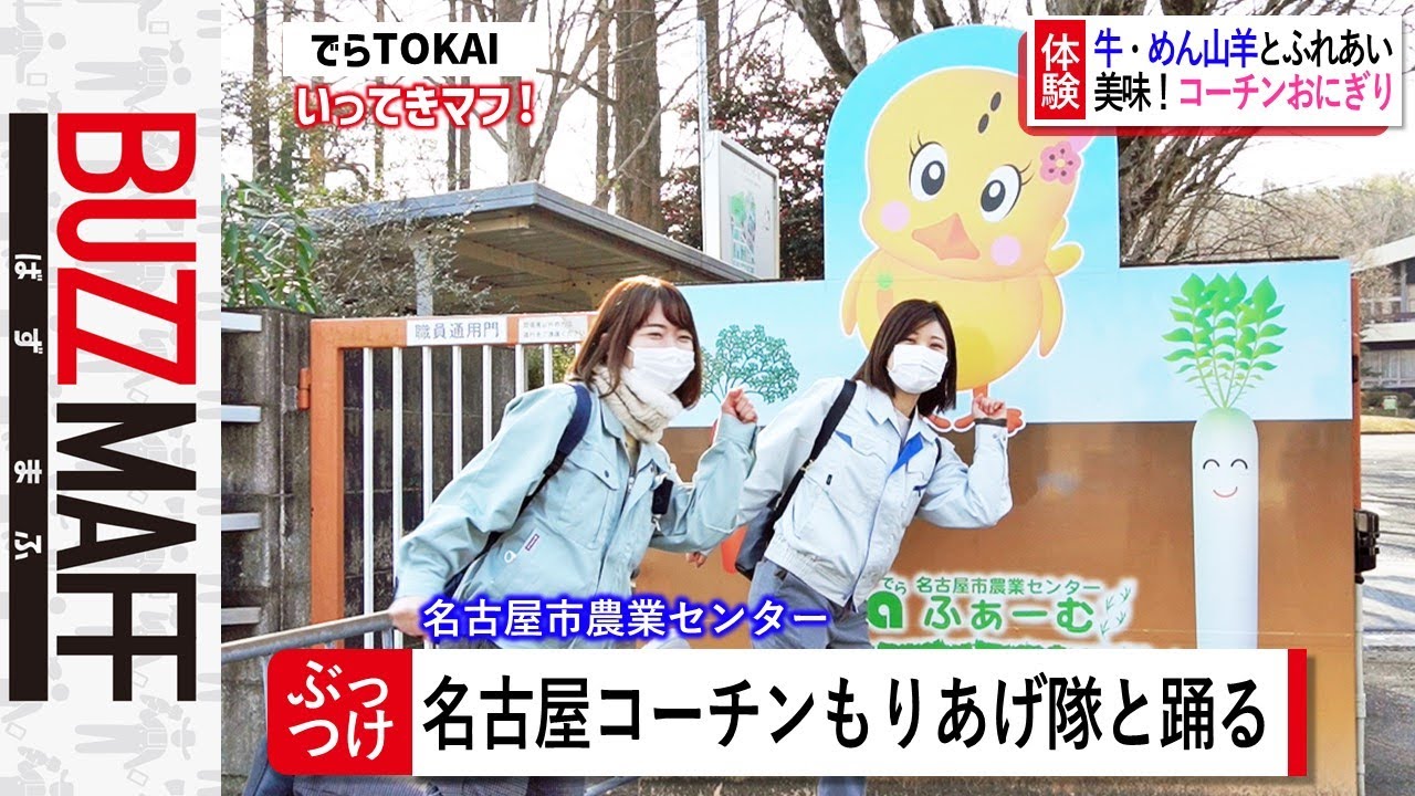 名古屋コーチンもりあげたい！