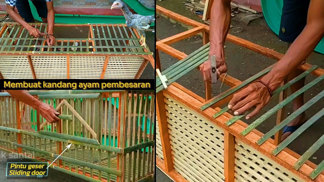 Membuat kandang pembesaran ayam kampung, dengan model pintu geser