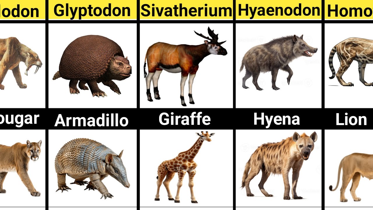 Prehistoric Creatures That Still Exist Today
