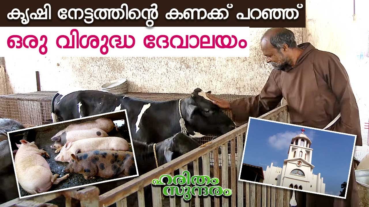 കൊല്ലം തില്ലേരി ആശ്രമത്തിലെ ഫാം കാഴ്ചകൾ | St Antony's Friary, Tillery | Haritham Sundaram EP 478