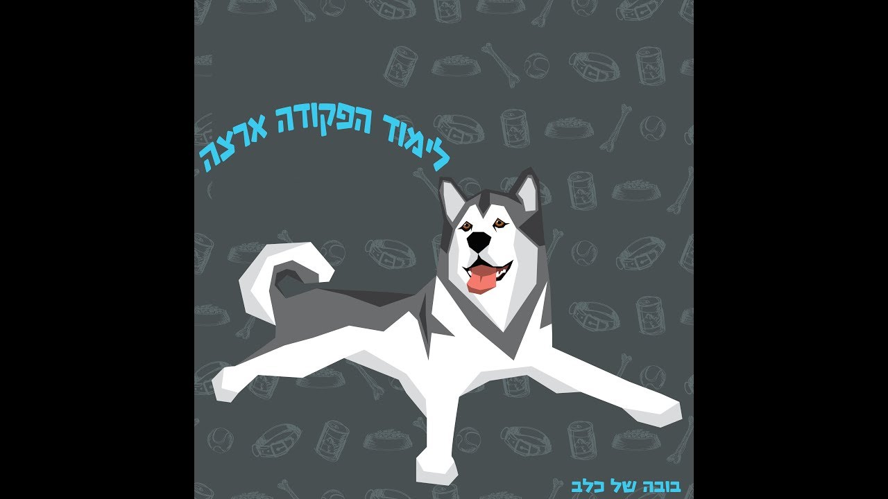 מגוון שיטות ללימוד הפקודה 