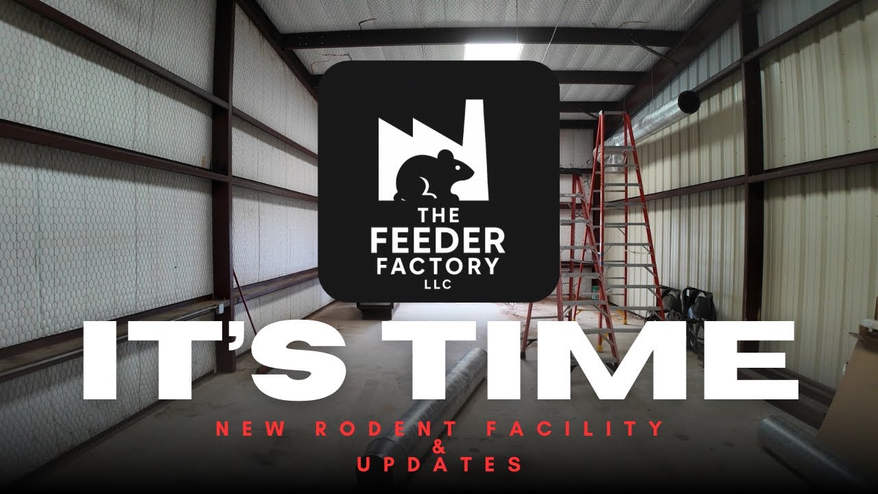 FINALLY! The new rodent facility... It's HERE👀|| What's next?!