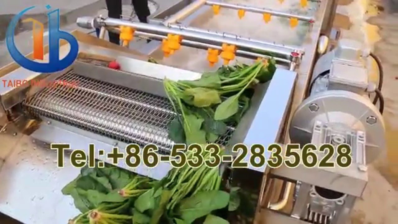 Spinach Washing Machine