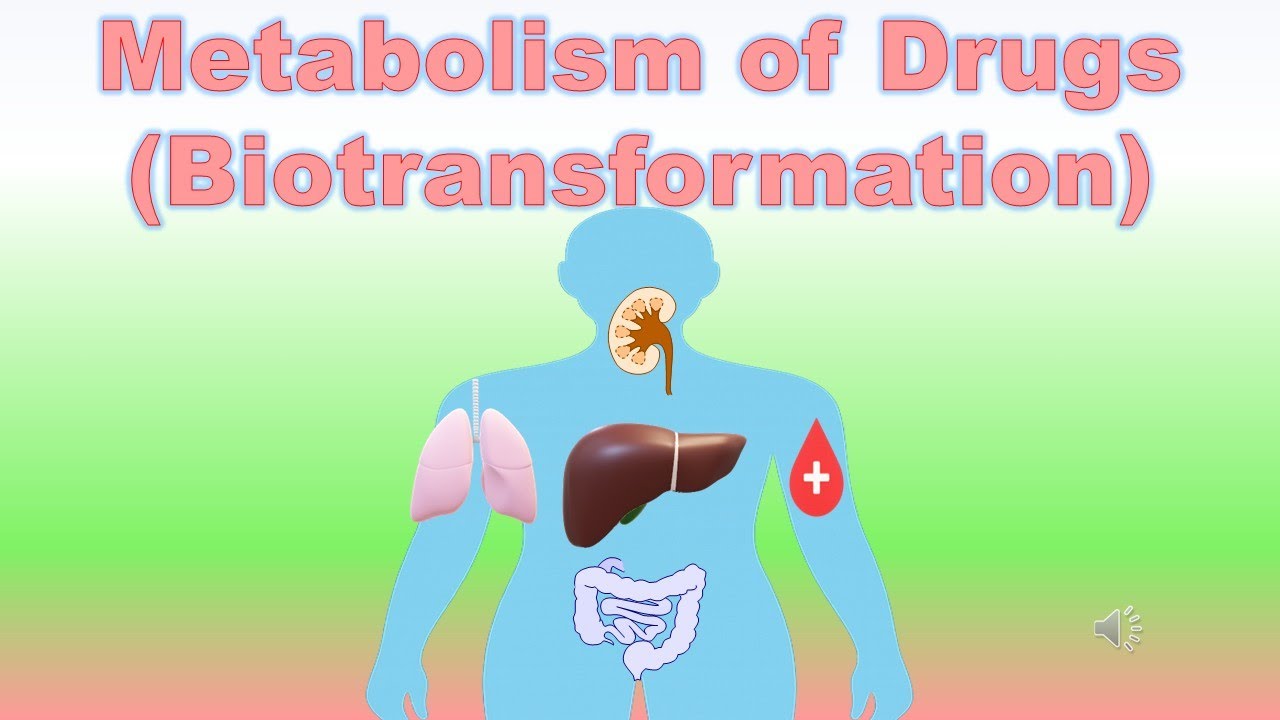 Metabolism of Drugs | Phase I Functionalization Reaction | Phase II Conjugation Reaction | Prodrug