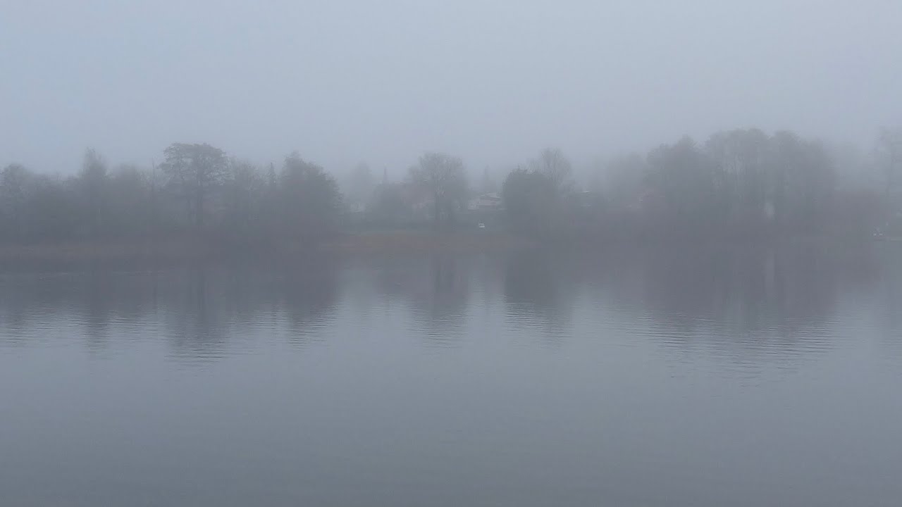 The Fog