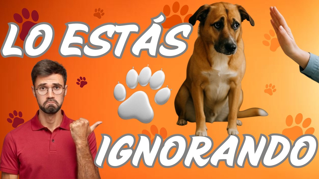 La Verdad Prohibida del Lenguaje Canino 5 Súper Poderes que Usa para Leer Tus Emociones
