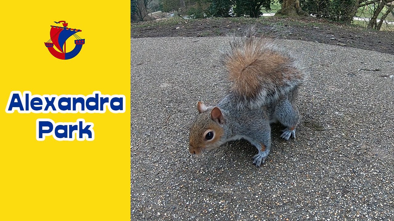 Discover Alexandra Park, Hastings