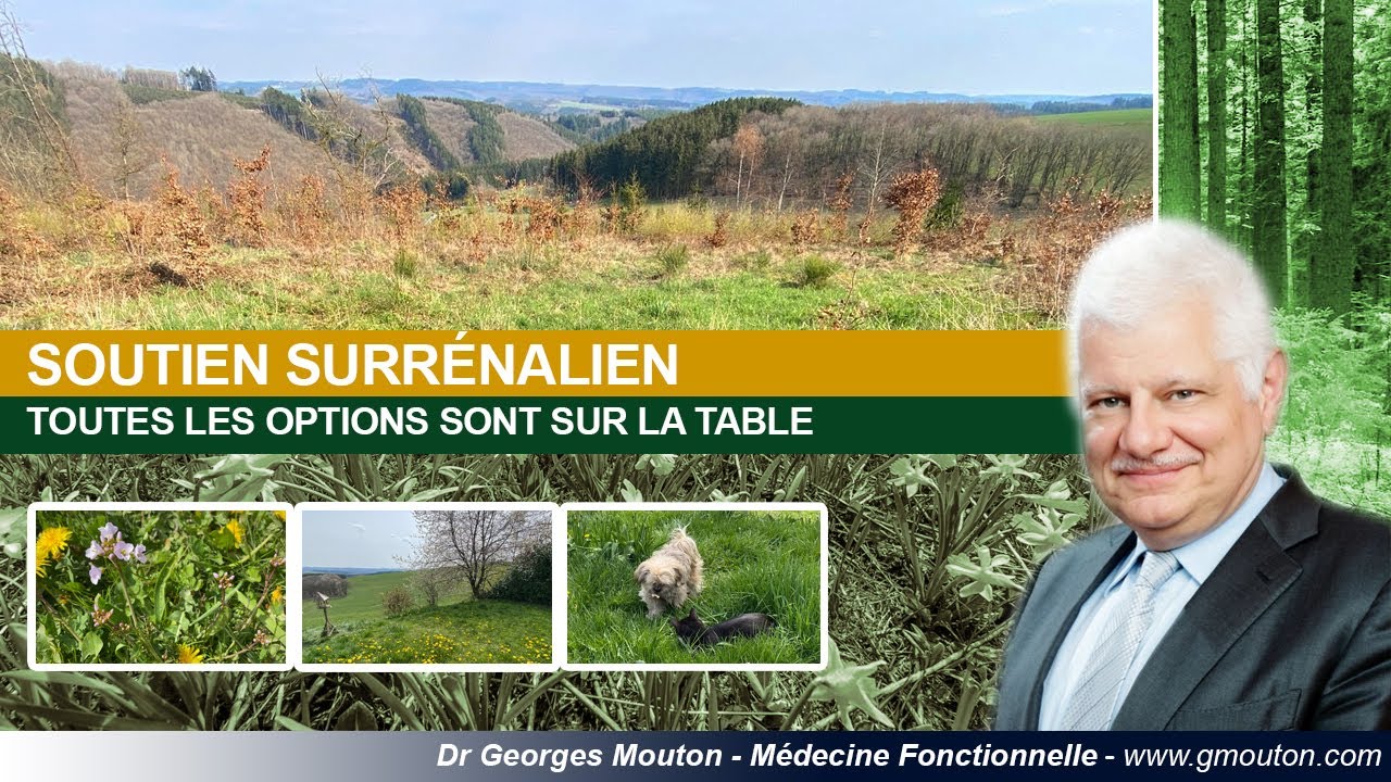 SOUTIEN SURR&Eacute;NALIEN