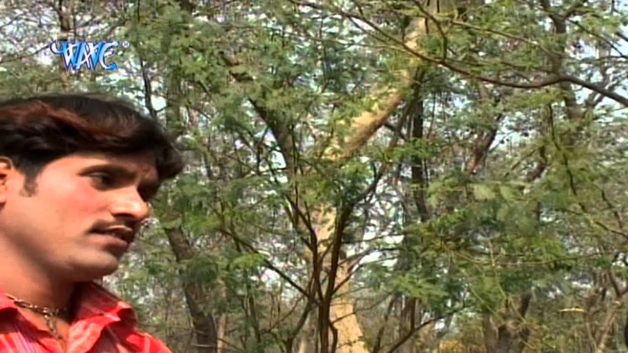 Aayil बाटे होली - Jogira - Chhotu Chhaliya - Bhojpuri Hit Holi Song @WaveMusicIndia