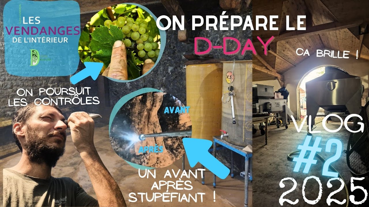 VLOG VIGNERON 2025 #2 : Début des préparatifs // Faut que ça brille // Vendanges 2025