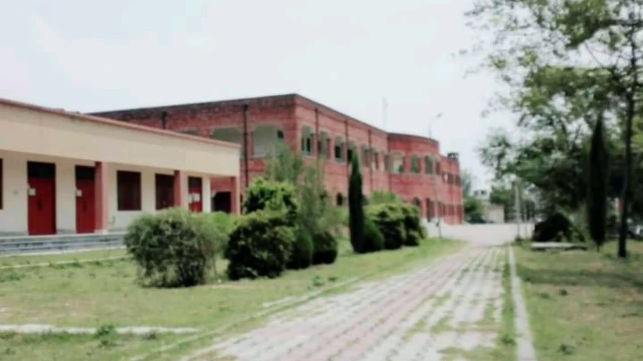 Beauty Of University Of Chakwal