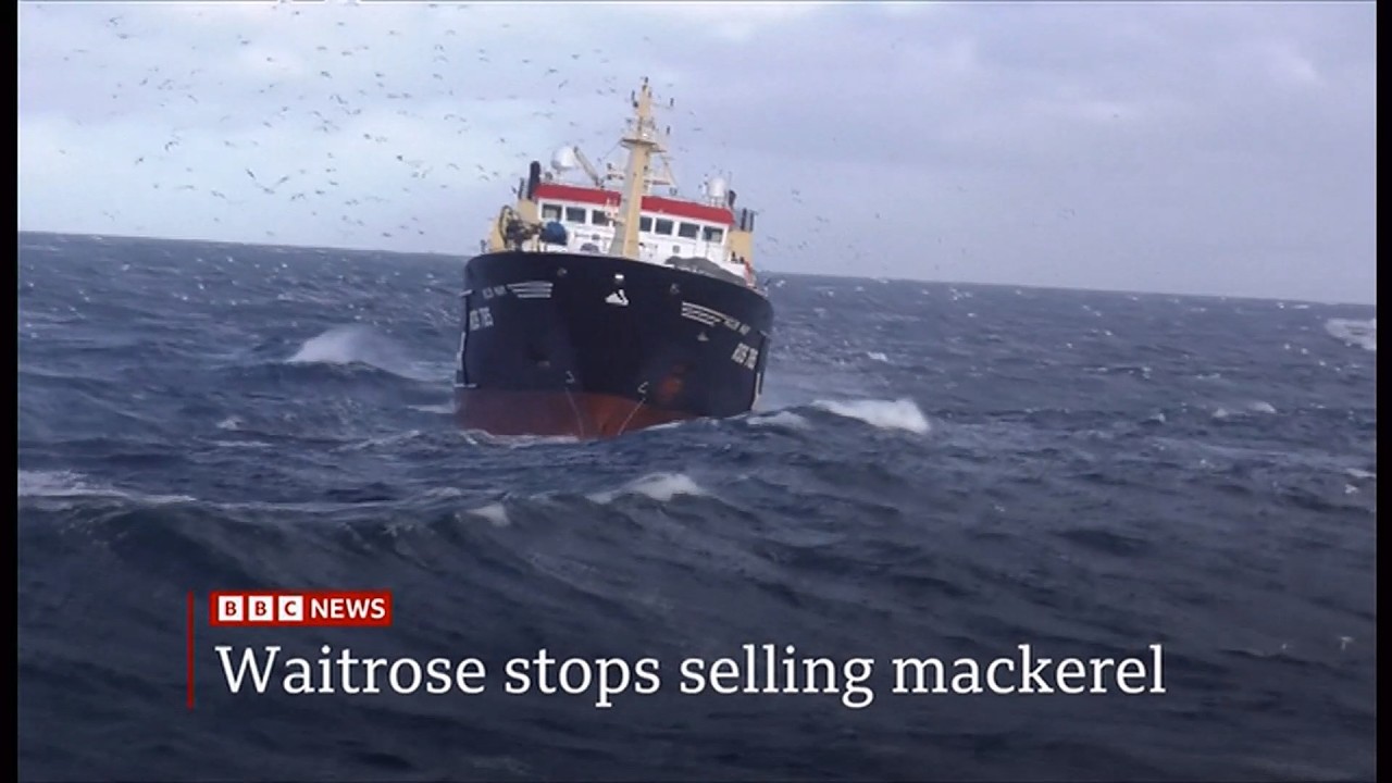 Waitrose suspends sale of mackerel because of overfishing (UK) 27/Feb/2026