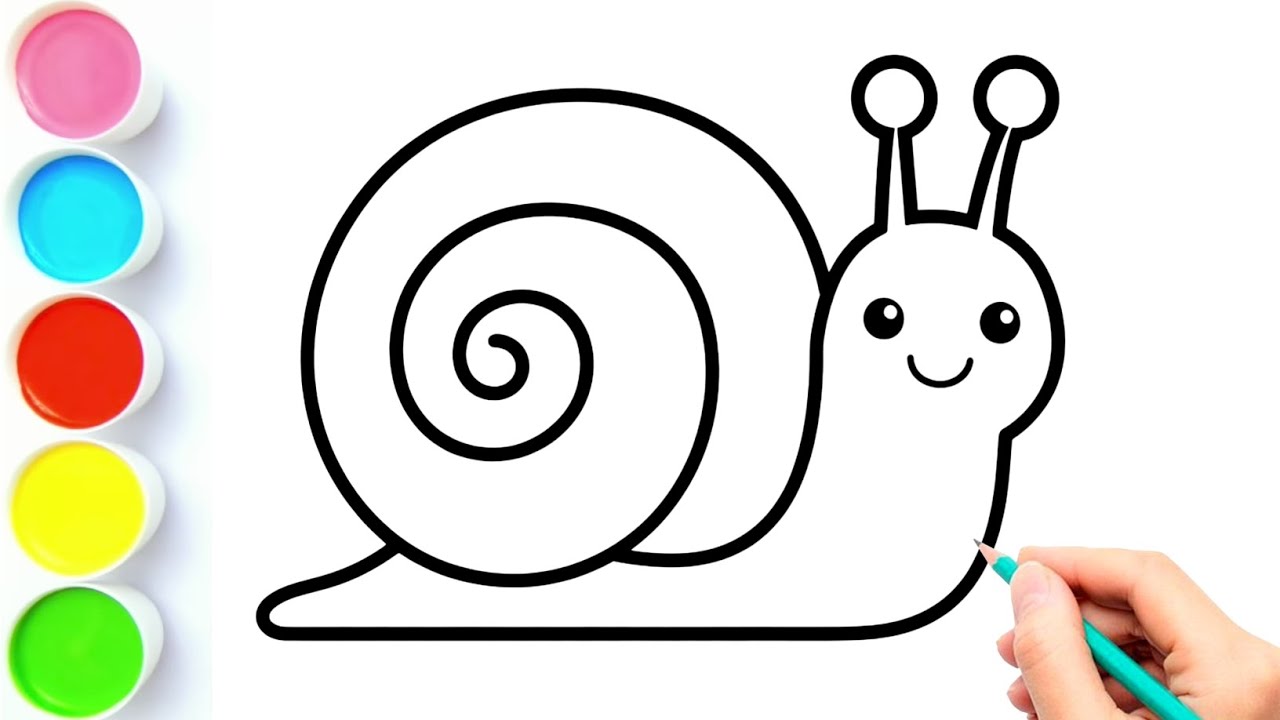 How to Draw a Snail | How to Draw a Snail Easy | Snail Drawing | Snail | Draw Smart