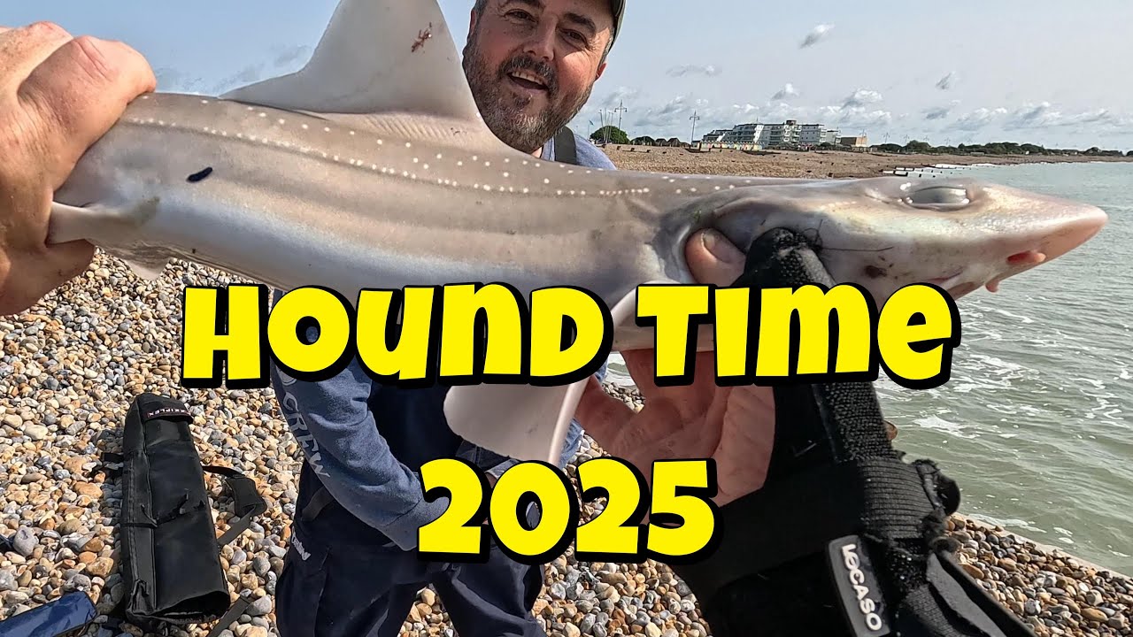 Its Hound time and CJ nearly loses his rod. Tonys Tackle Seamatch Sunday Beach open.