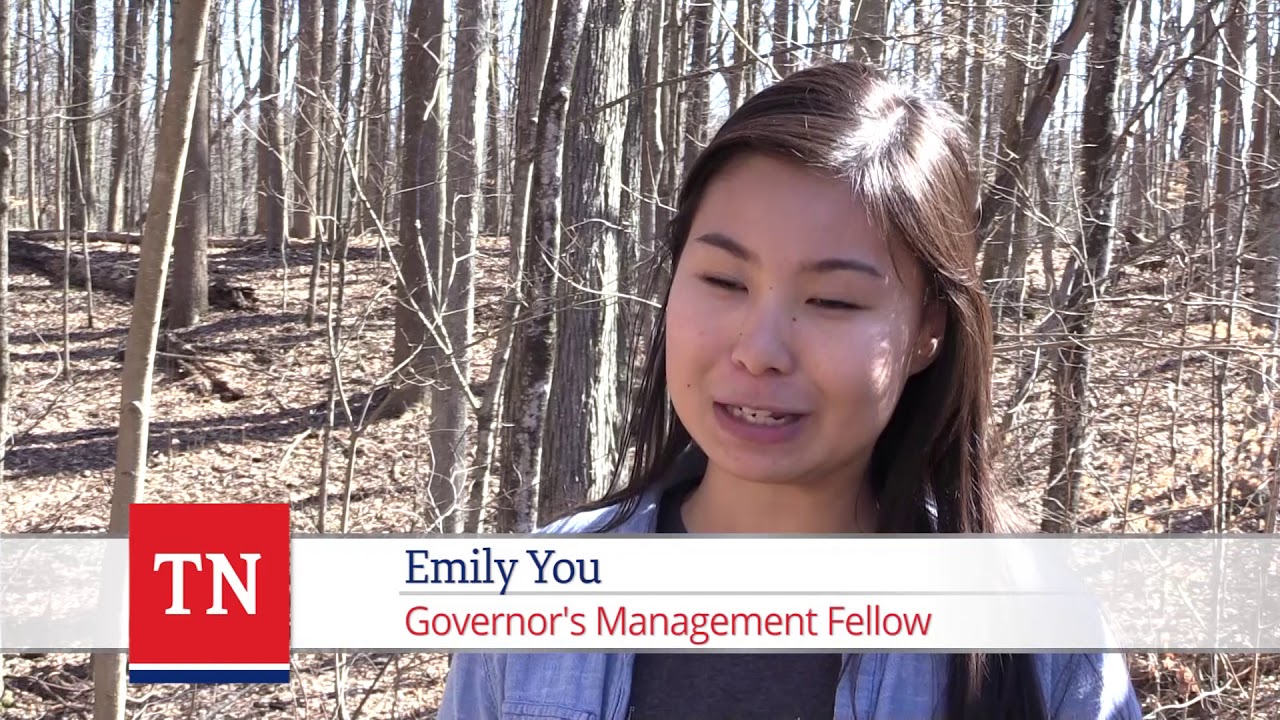 Telling the Story of Forestry in Tennessee
