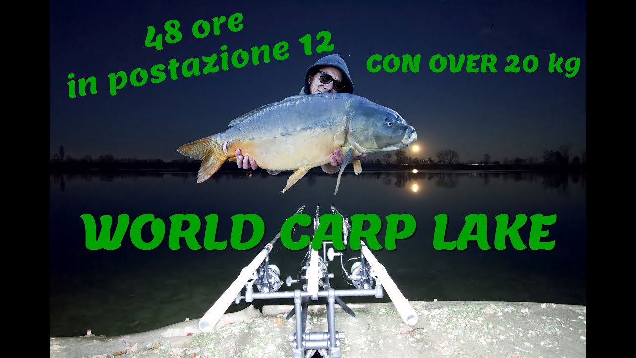 World Carp Lake - Postazione 12