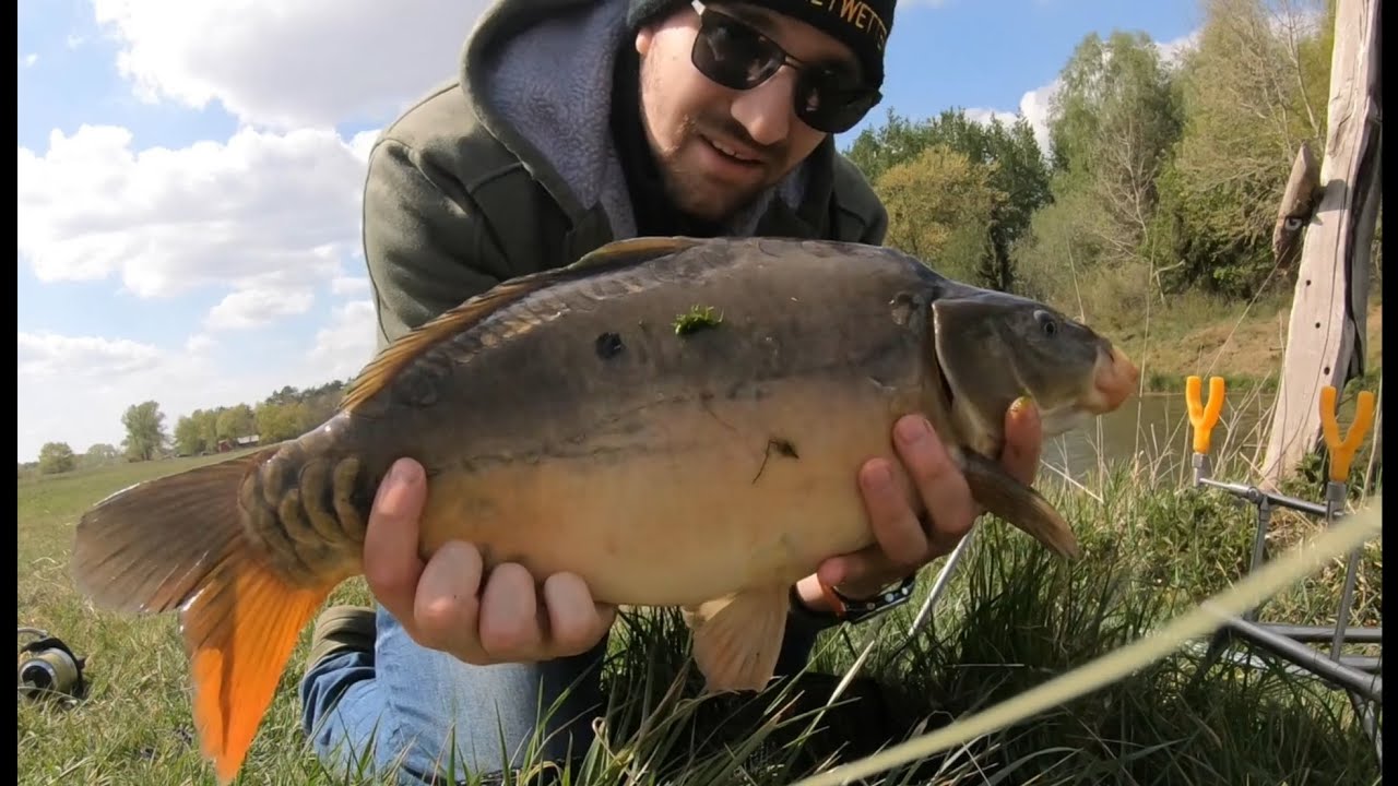 Angeln mit Max - Nachmittagsansitz | Allroundansitz | Angeln auf Weißfisch | Angeln Celle