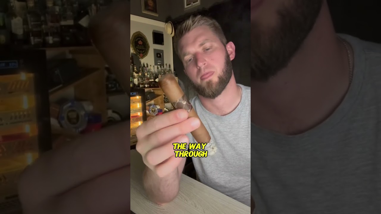 Review of the Asylum Medulla 🔥