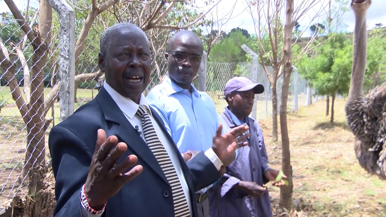 KILIMO CHA MBUNI