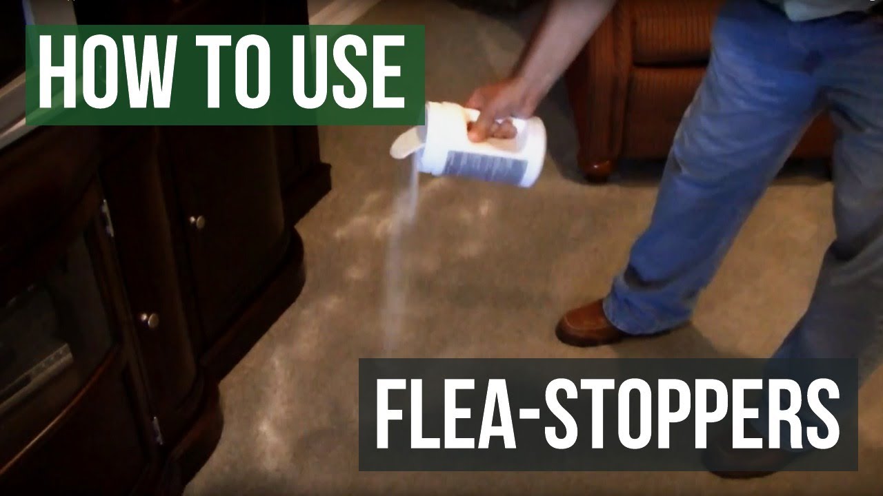 How To Use Flea Stoppers Flea Killer Powder