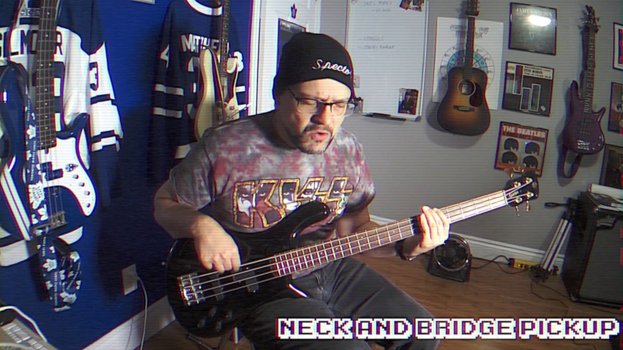 Ultimate Basses: 1984 Spector NS-2