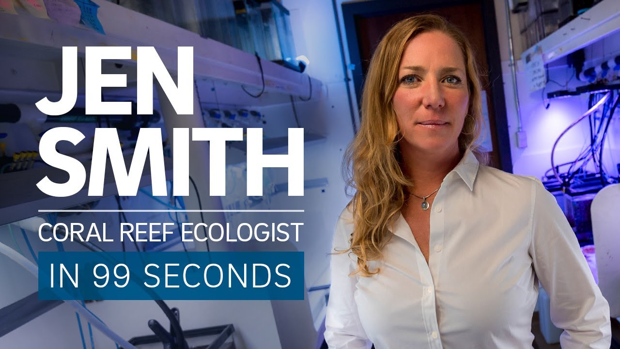 A Scientist's Life in 99 Seconds: Coral Reef Ecologist Jennifer Smith
