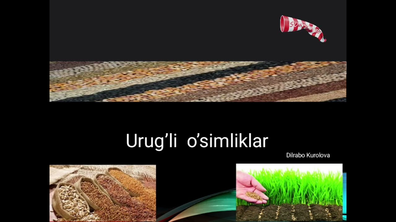 Urug'li o'simliklar.7-1.5