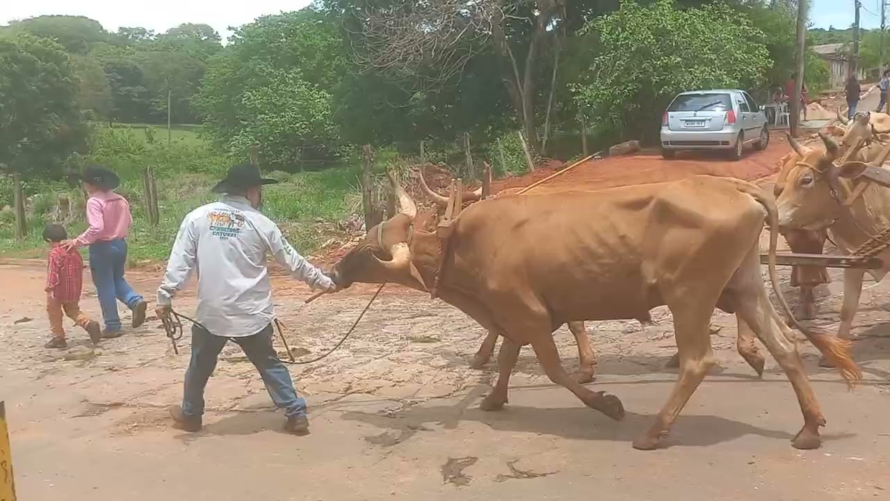 Cowboys e carros de bois desfilam pelas ruas de CATURAÍ - GO