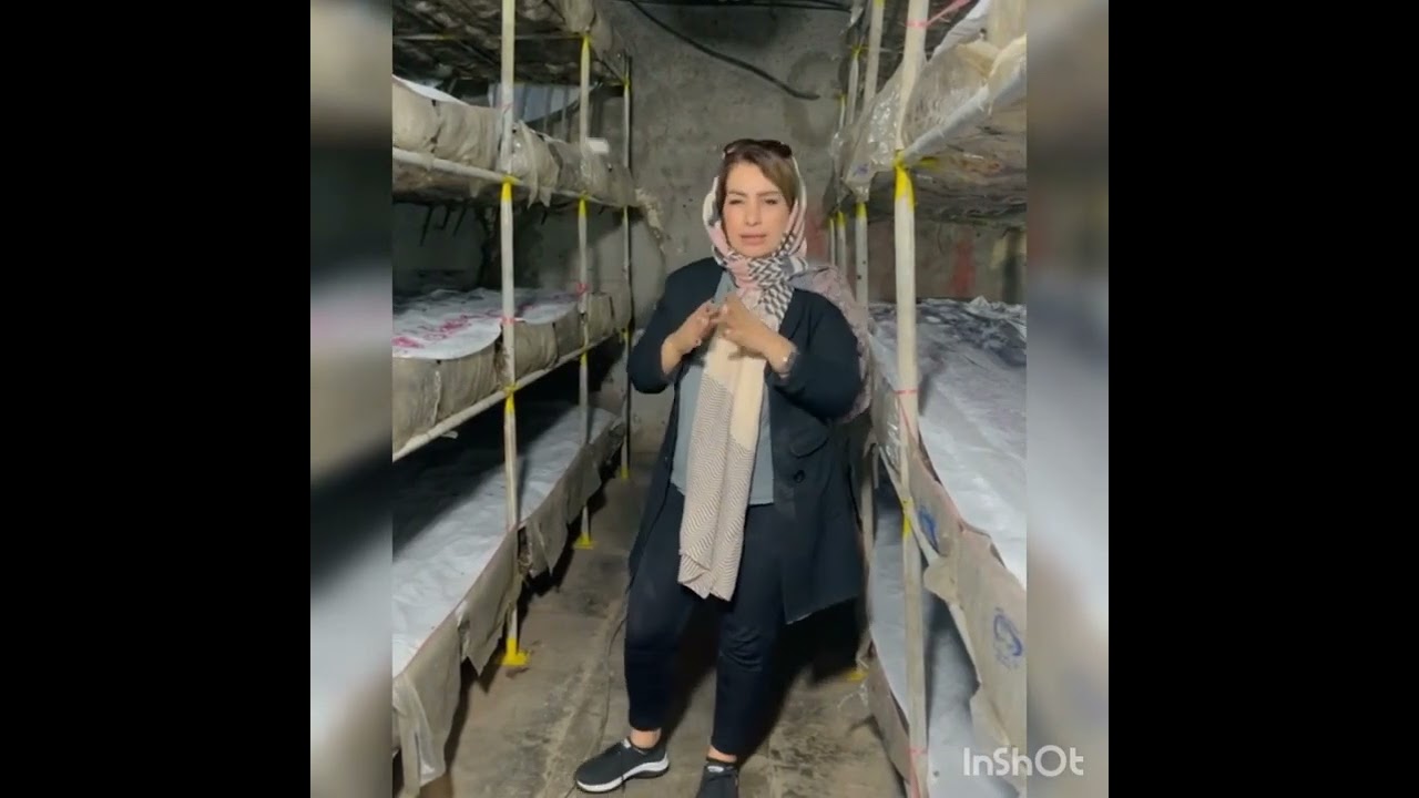 تجهیزات پرورش قارچ