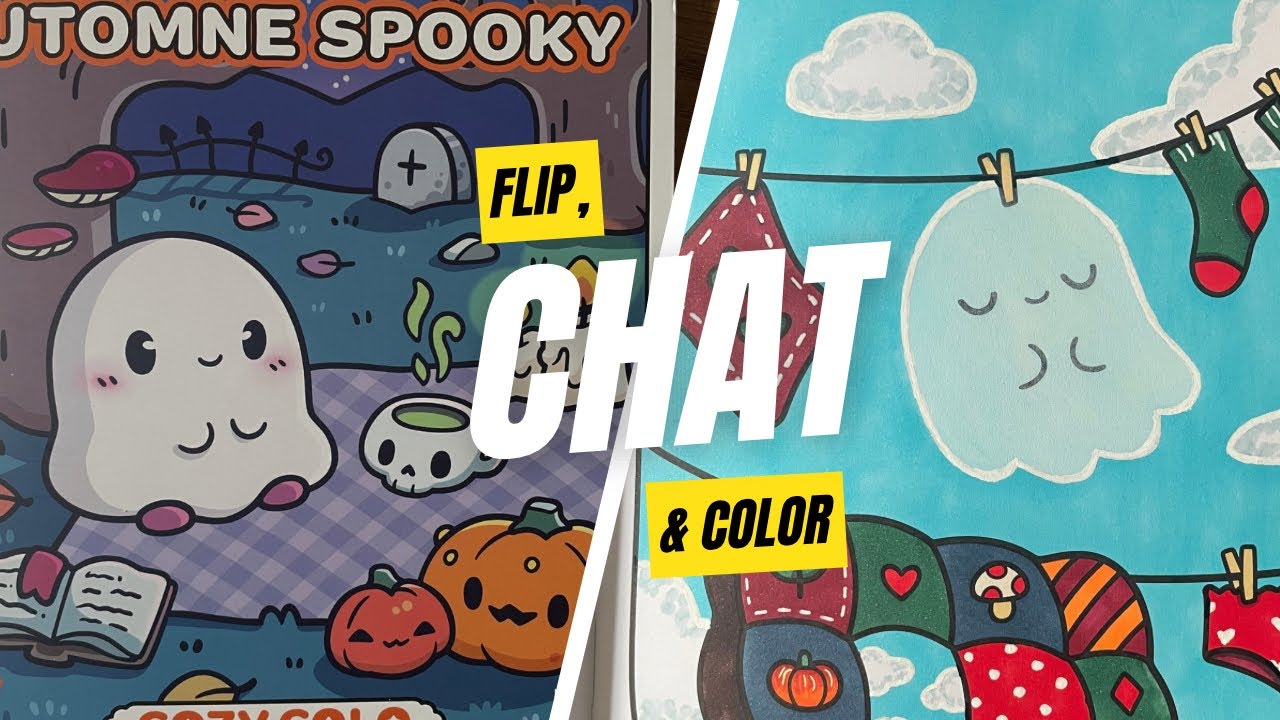 Flip, chat & color n°1
