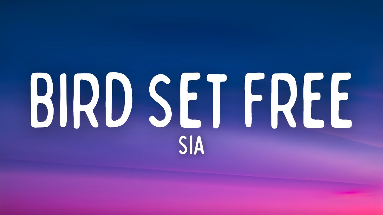 Sia - Bird Set Free (Lyrics)