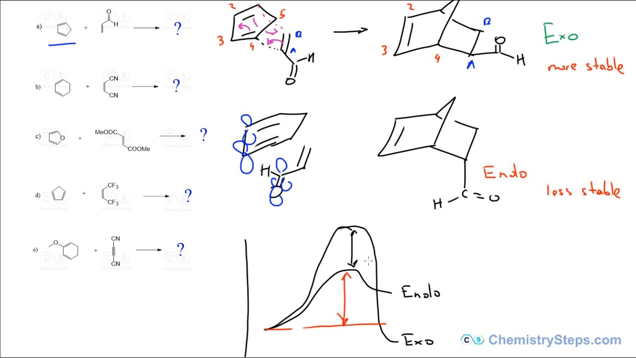 Endo and Exo Selectivity in the Diels-Alder Reaction