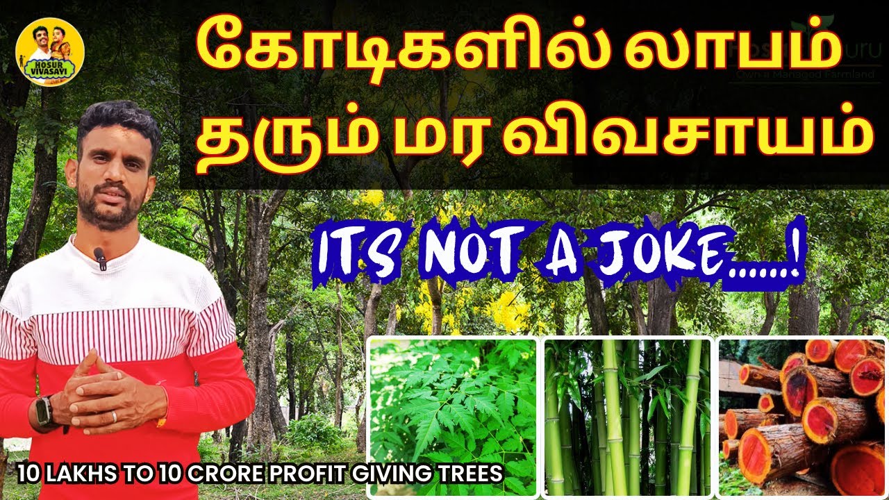🌱Top 10 Most Profitable Trees to Grow in Tamil Nadu – Best Trees for Plantation & Income