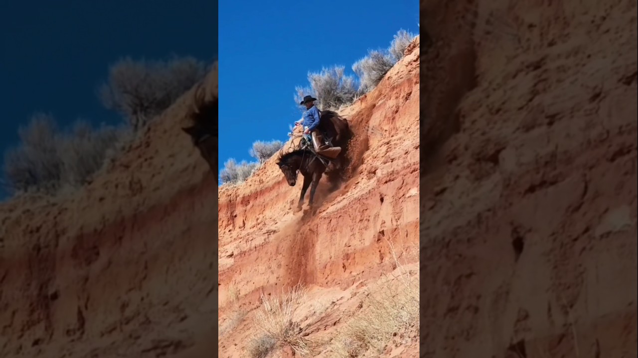 Steep Drop. Great Horse! #mustang #mustanghorse #blmmustang #manfromsnowyriver #cowboy